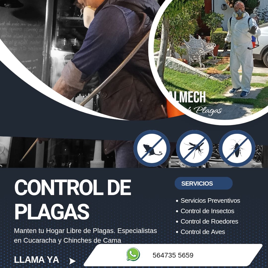 Material gráfico de ALMECH Control de Plagas